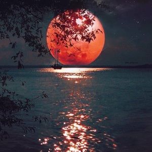 Meet your Posher, Eva